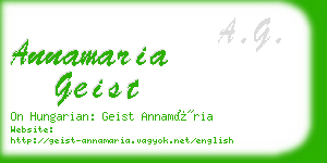 annamaria geist business card